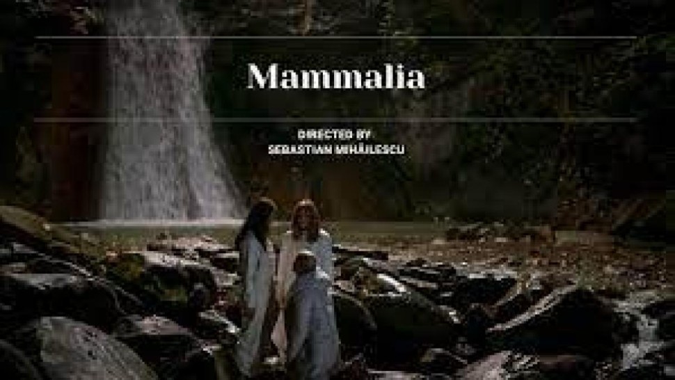 Mammalia premieră românească la Festivalul Internaţional de Film de la Berlin
