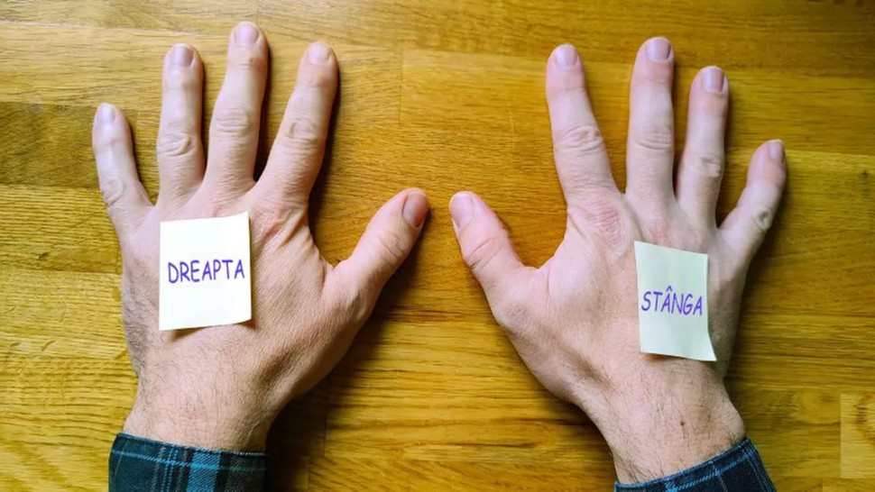 Confundați stânga cu dreapta Foarte mulți oameni se confruntă cu această problemă iar cercetătorii știu de ce