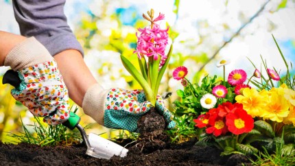 Sfaturi pentru îngrijirea grădinii primăvara. Fă-o să arate așa cum visezi