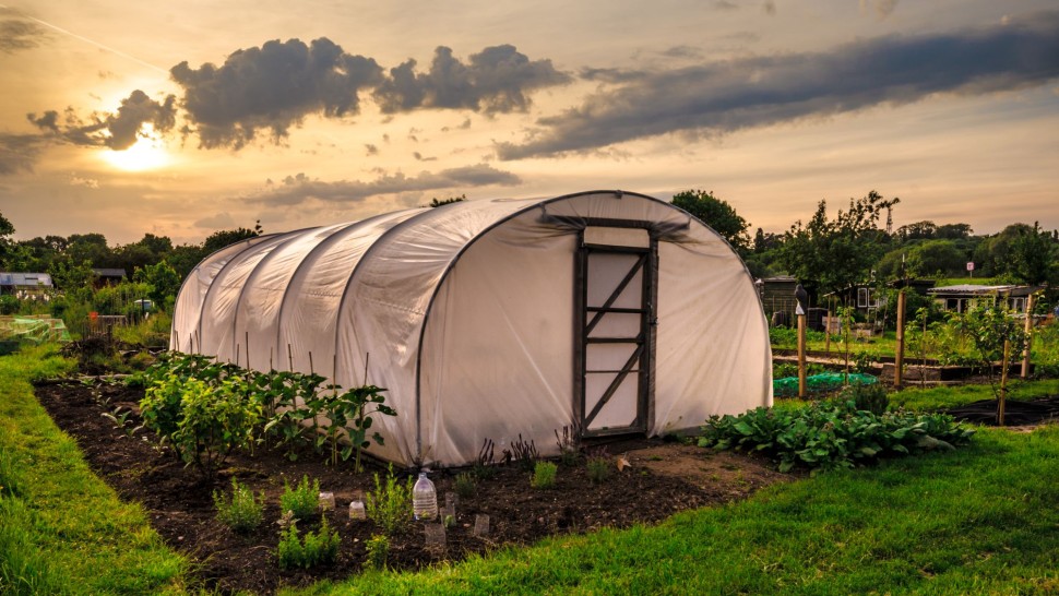 Care este diferența dintre solar și seră. Sfaturi practice de agricultură primăvăratică
