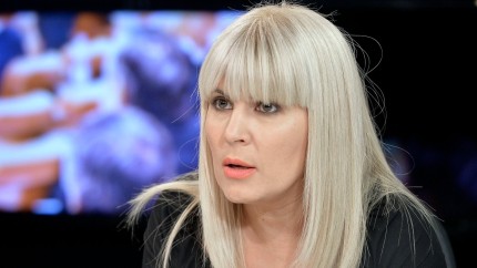 Elena Udrea a ajuns la sediul ÎCCJ. Fostul politician contestă din nou pedeapsa în dosarul Gala Bute