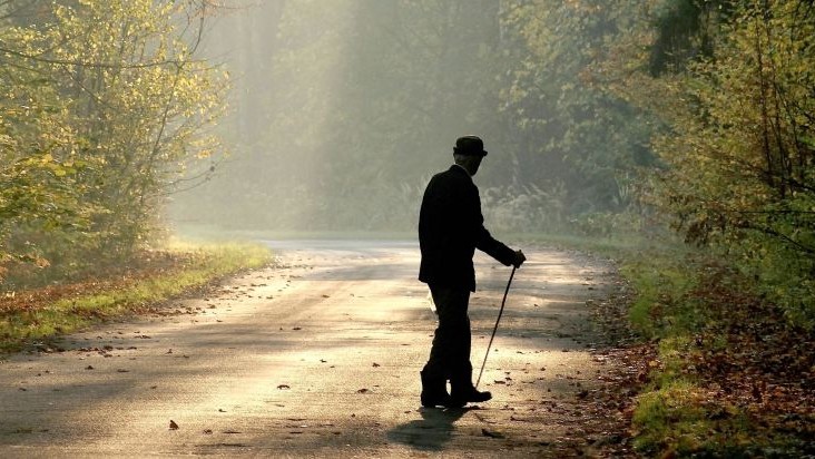 500 de euro gratis de la stat pentru fiecare hectar Beneficii uriașe pentru proprietarii de terenuri din România