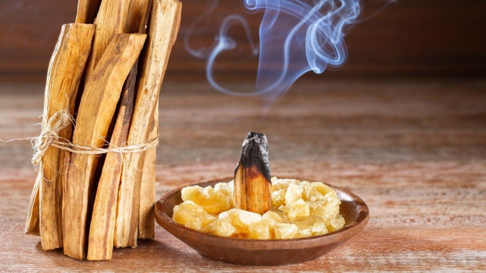 Ce este și cum se folosește Palo Santo considerat lemnul sfânt. Purifică orice casă și are multe beneficii