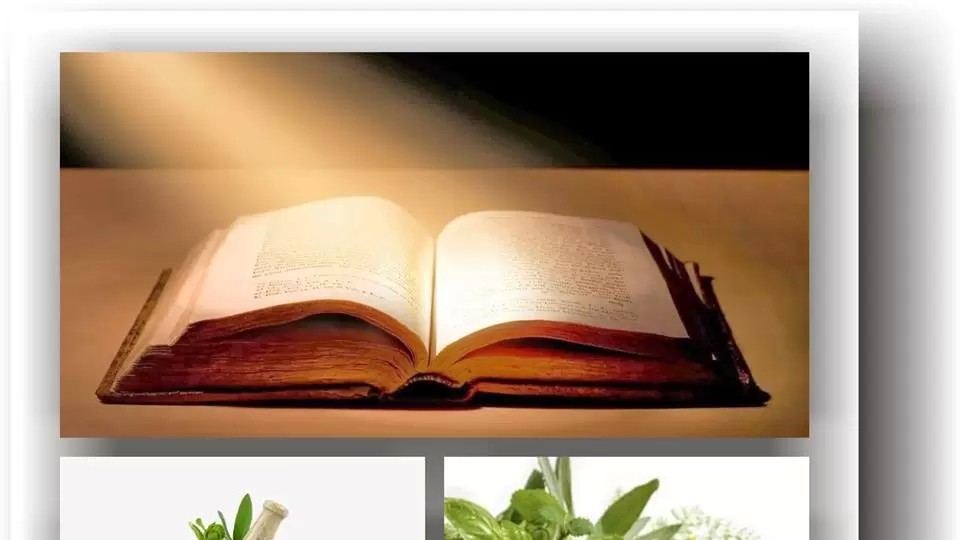 Flori și plante miraculoase din Biblie. Se folosesc și astăzi în bucătărie sau în medicină