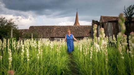 Povestea primului sat din România unde se cultivă tuberoze. Floarea senzualității înflorește o dată la trei ani