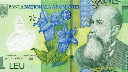 De ce se numește moneda românească leu. Alte denumiri pe care le-au mai avut banii în România