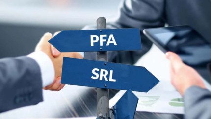 Numărul de PFA-uri din România a crescut cu 40 Societățile cu răspundere limitată în scădere