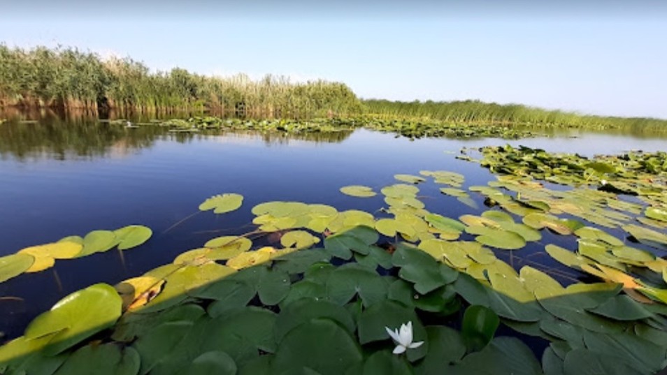 Top 5 locuri de vis din România unde îți poți petrece weekendul