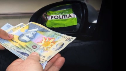 24 de dosare penale întocmite de DNA pentru un inspector Antifraudă și 23 de lucrători ai Poliţiei de Frontieră