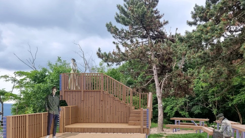 O pădure va fi transformată în parc într-un oraș din România. Investiție de peste 200.000 de euro