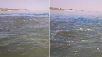 Atenție Deversare de fecale și urină în apa Mării Negre. În zona căror stațiuni s-a spart conducta