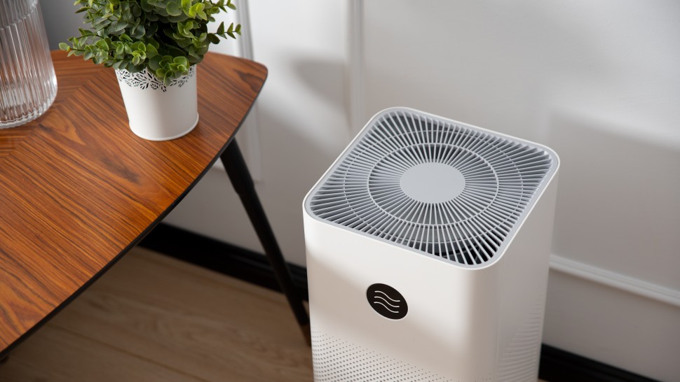 Care este diferența dintre umidificator și purificator De câte tipuri pot fi