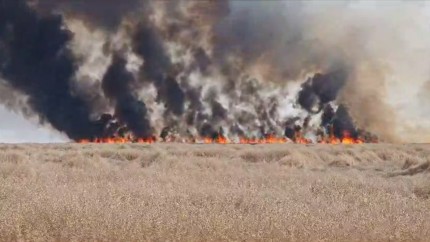 Incendiu puternic de vegetație lângă un azil de bătrâni în Poarta Albă. A fost activat Planul Roșu de Intervenție