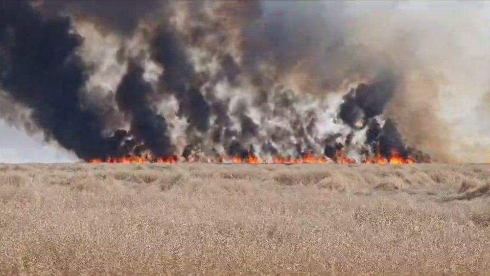 Incendiu puternic de vegetație lângă un azil de bătrâni în Poarta Albă. A fost activat Planul Roșu de Intervenție