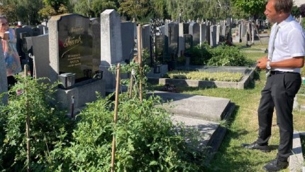 Țara europeană unde se plantează roșii pe morminte. Ce spun oamenii despre cimitirul-grădină