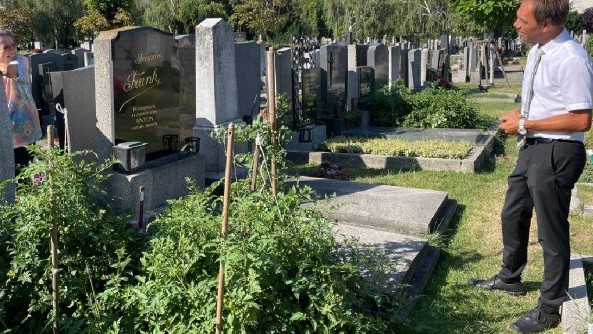 Țara europeană unde se plantează roșii pe morminte. Ce spun oamenii despre cimitirul-grădină