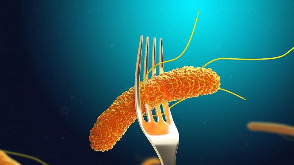 România lovită de un val de toxiinfecții alimentare și enterocolite. Cazurile au crescut cu 30 în spitale la nivel național