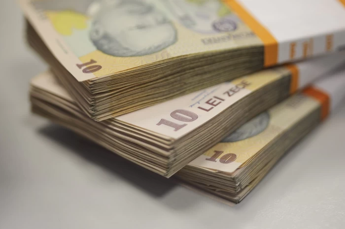 Vouchere de 10.000 de lei, tichete de 10.000 de lei