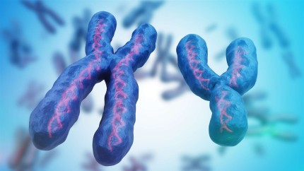 Oamenii de știință au rezolvat puzzle-ul genetic din cromozomul Y privind infertilitatea la bărbați. ADN-ul nu mai are secrete