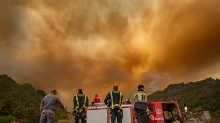 Atenţionare de călătorie emisă de MAE pentru Spania. Incendii de vegetaţie în insula Tenerife
