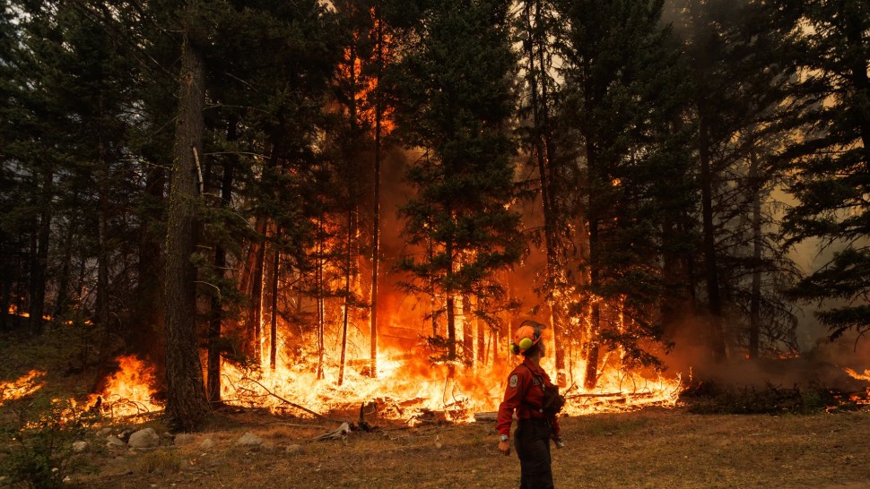 Incendii puternice de vegetație mistuie Canada. Metropola Yellowknife evacuată