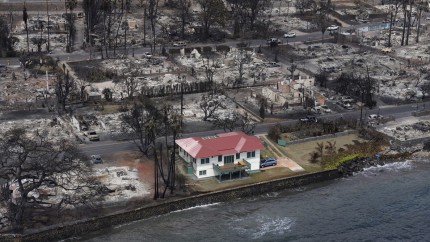 Miracol greu de explicat. Cum a rămas o casă neatinsă de flăcari în mijlocul incendiilor devastatoare