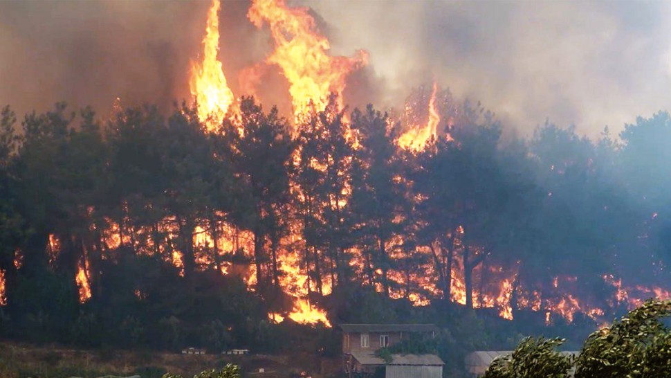 Se dau amenzi de până la 15.000 de lei Este interzis în România Au fost aproape 5.600 de incendii în primele şase luni