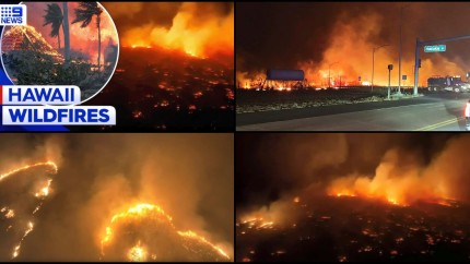 Incendii de vegetație mortale în Insulele Hawaii Zeci de morți în Maui și localități întregi evacuate | VIDEO