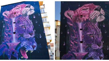 Pictura murală de pe un bloc din Sibiu care a devenit una dintre cele mai apreciate din lume