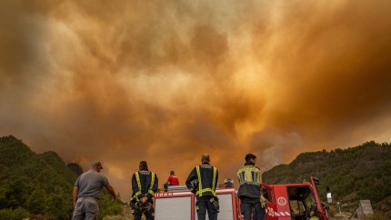 Incendiul din Tenerife devine din ce puternic. Pârjolul s-a extins