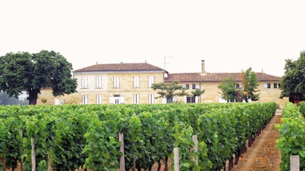 Lovitură pentru Franța. Vinul roșu de Bordeaux ar putea ajunge alcool pentru parfumuri