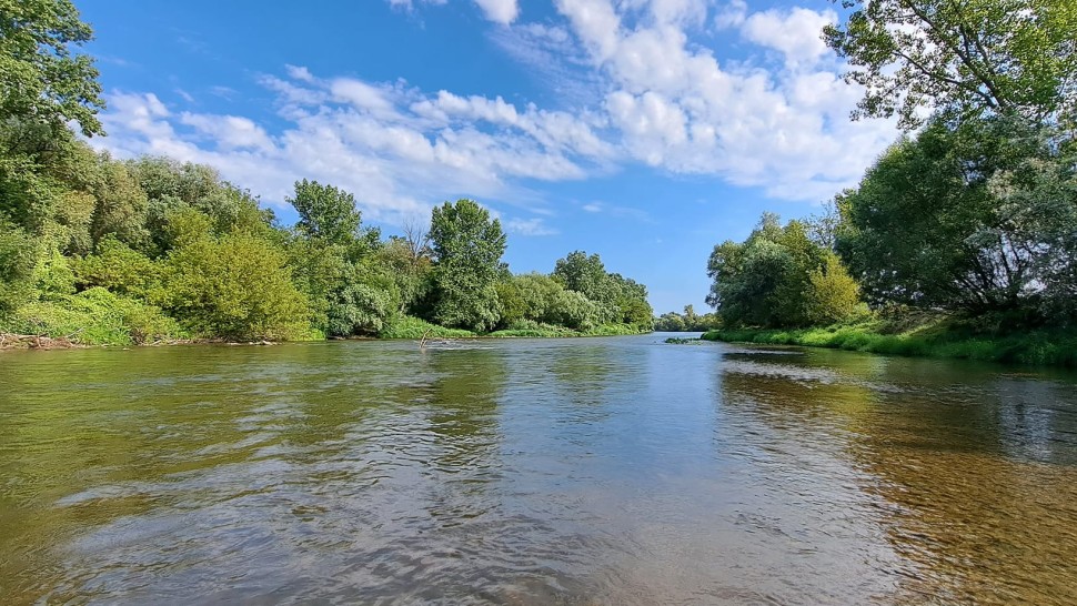 Amenzi de până la 50.000 de lei celor care fac asta în Delta Dunării Pare legal dar este total interzis