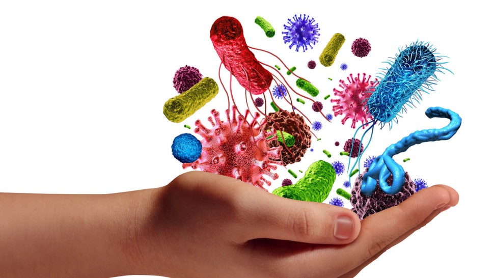 Legătura dintre zahăr și vaccinuri. Cum poate fi protejat sistemul imunitar