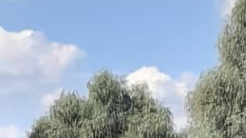 Accident cu două bărci în Delta Dunării La bord se aflau în total 20 de turiști. O persoană a dispărut în apă