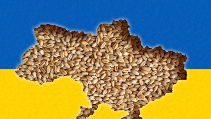Ucraina dă în judecată țările europene care au impus interdicții de import de alimente