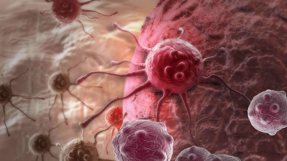 Îngrijorător 92 dintre europeni au în corp o celulă care provoacă forme de cancer infertilitate și largă gamă de boli