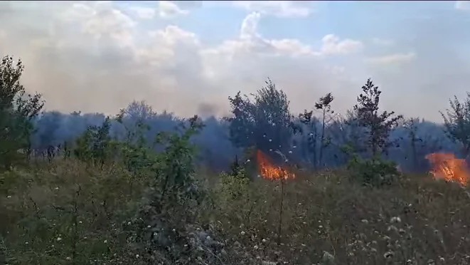 Incendiu masiv de vegetație în comuna Vidra. A fost emis mesaj RO-Alert