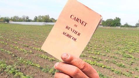 S-au făcut plățile pentru renta viageră agricolă aferentă 2022. Cine sunt românii care au de primit bani