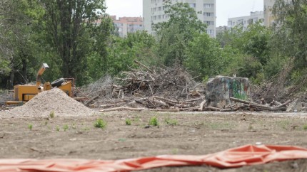 Amendă de 35 de milioane de euro pentru defrișarea Parcului Titan