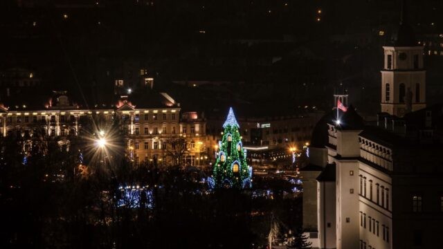 Olguța Vasilescu a furat bradul de Crăciun de la Vilnius și s-a lăudat cu el pe Facebook