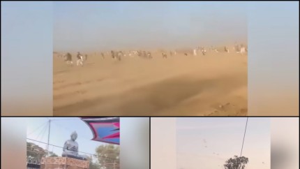 WSJ Iranul a ajutat Hamas să organizeze atacul din Israel Detaliile groazei din deșert. Participanții la un festival împușcați ca în poligon | VIDEO