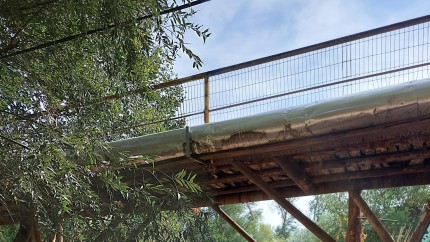 Un râu important de lângă București a secat complet. Pe zone întregi nu mai e nici urmă de apă