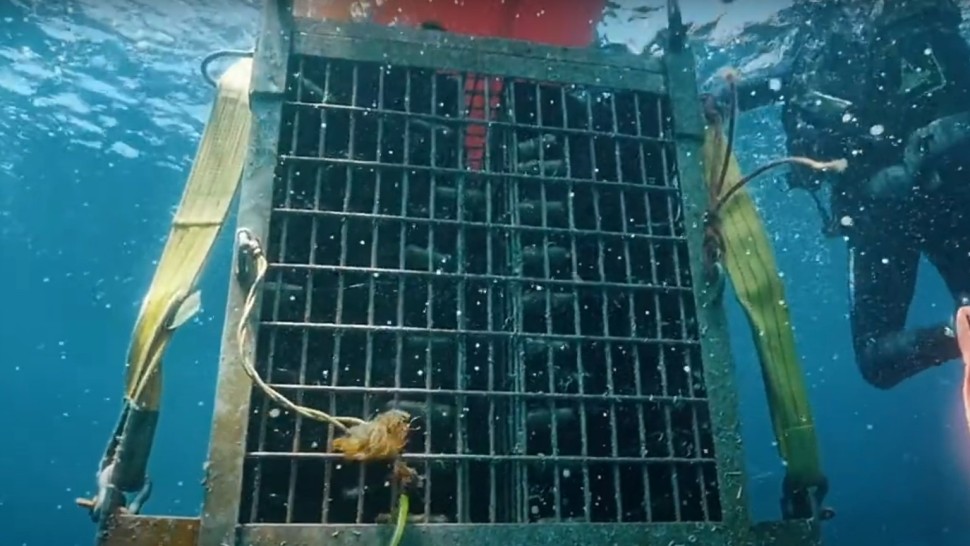 Ce e șampania submarină și cu cât se vinde | VIDEO