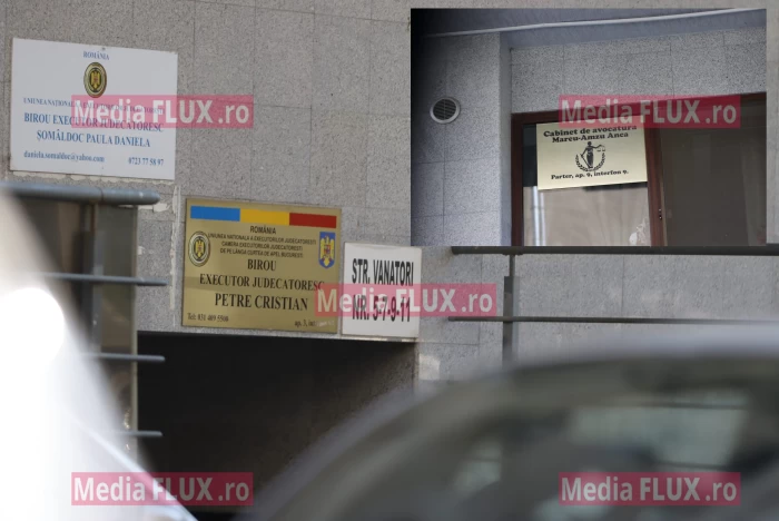 Iulia Albu la avocat sau executor judecătoresc