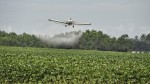România implementează o procedură interzisă în UE Va stropi din aer pesticide cu ajutorul dronelor