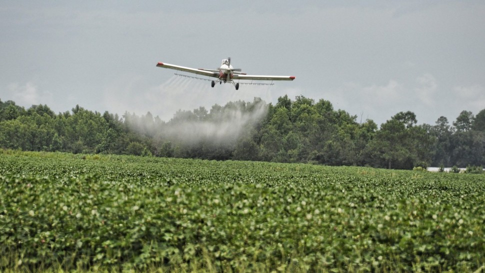România implementează o procedură interzisă în UE Va stropi din aer pesticide cu ajutorul dronelor