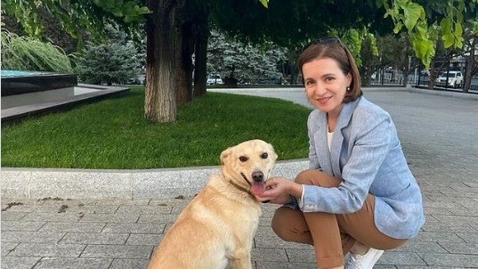 Povestea câinelui care l-a mușcat pe președintele Austriei. Cum a ajuns Codruț să fie adoptat de Maia Sandu