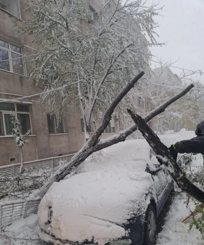 Primul episod de iarnă din România în Tulcea