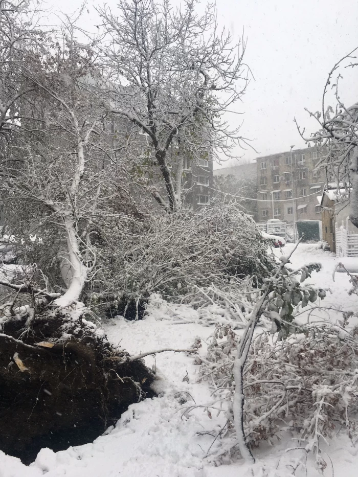 Primul episod de iarnă din România în Tulcea