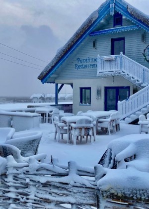 EXCLUSIV. Cum arată iarna într-o localitate de la marginea Deltei. Imagini surprinse la câteva ore după după codul roșu de viscol